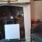 350 watt electric heater in fireplace